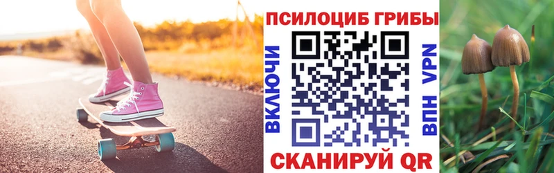 Купить  Болотное  Галлюциногенные грибы Psilocybine cubensis 